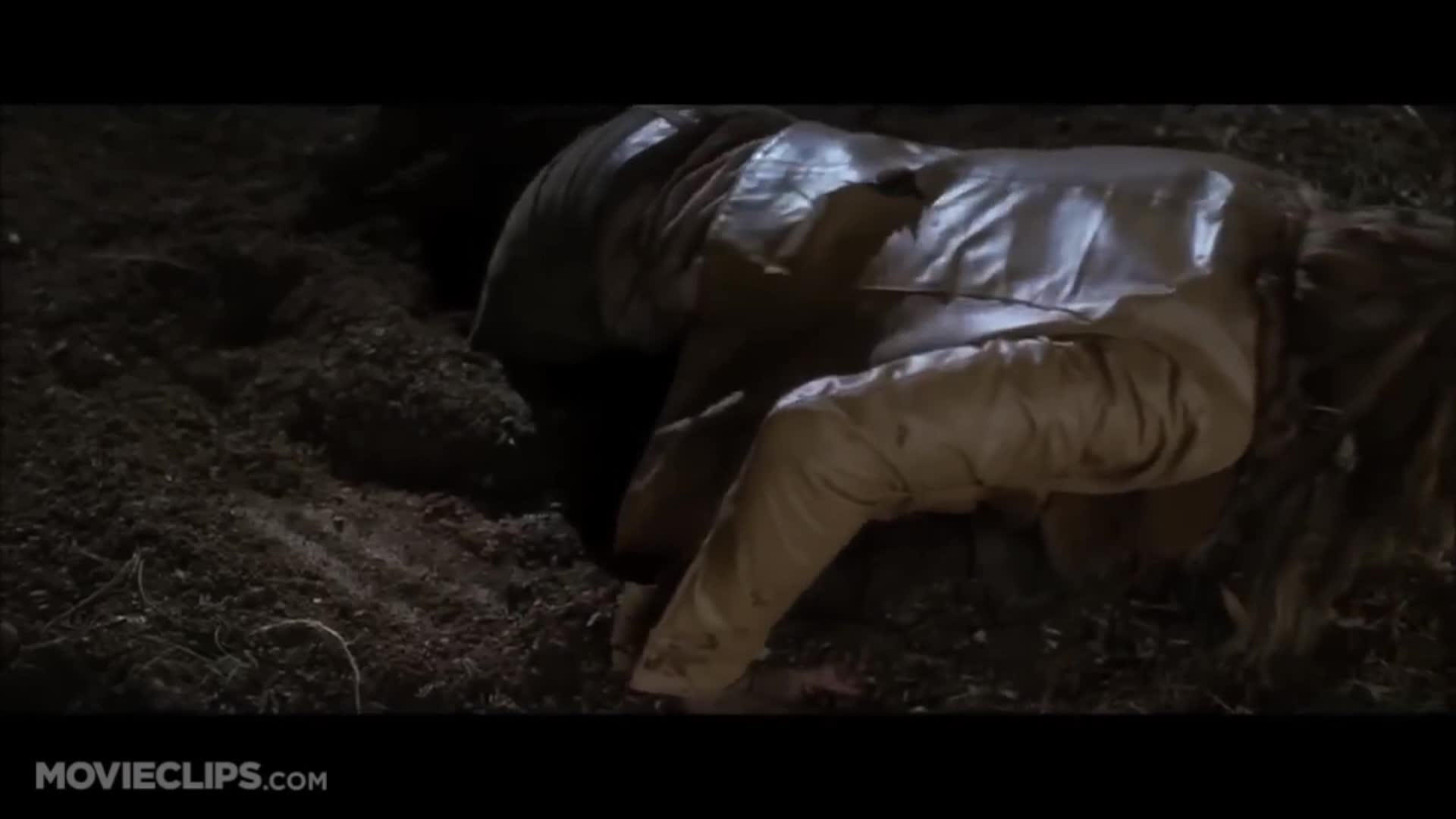 Free Access TV News: Sneak Preview: Kill Bill - Director's Cut