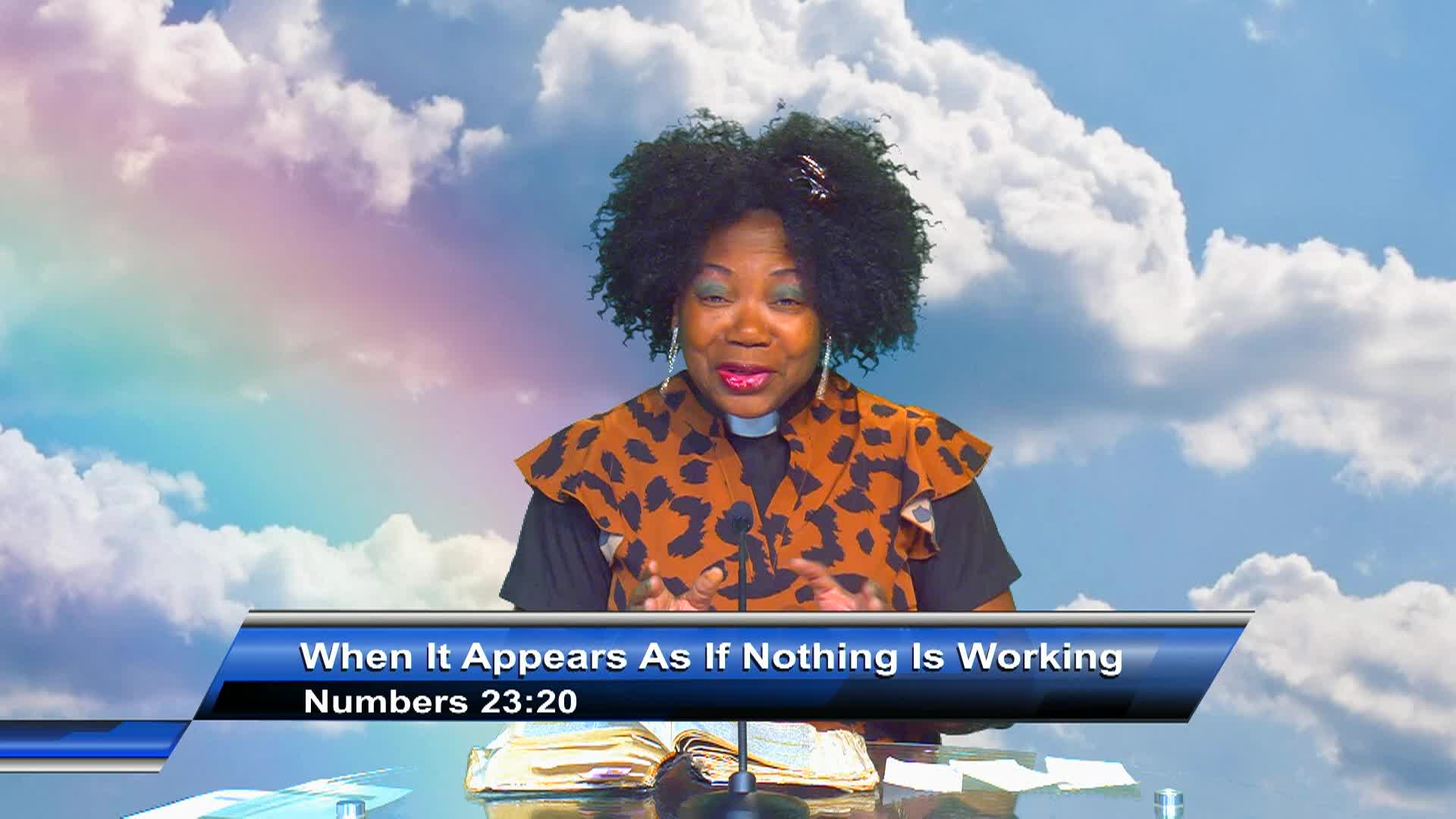 Thumbnail image for Celebrate Life Int'l Ministry: When It Appears as if Nothing is Working