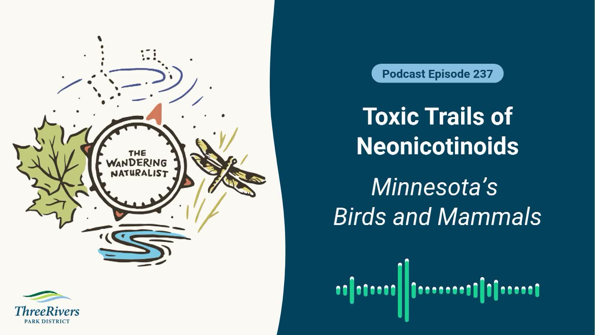 Thumbnail image for The Wandering Naturalist - Episode 237 Toxic Trails of Neonicotinoids - Minnesotas Birds and Mammals