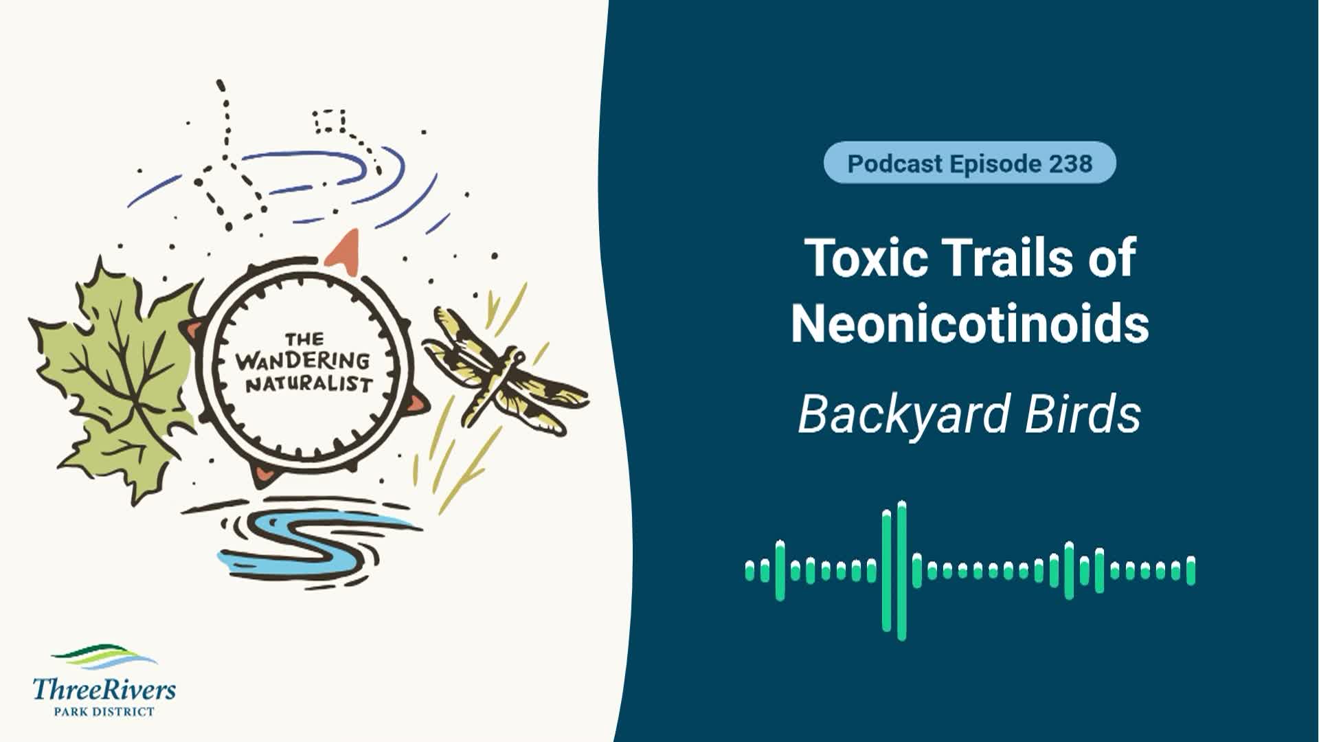 Thumbnail image for The Wandering Naturalist - Episode 238 Toxic Trails of Neonicotinoids – Backyard Birds