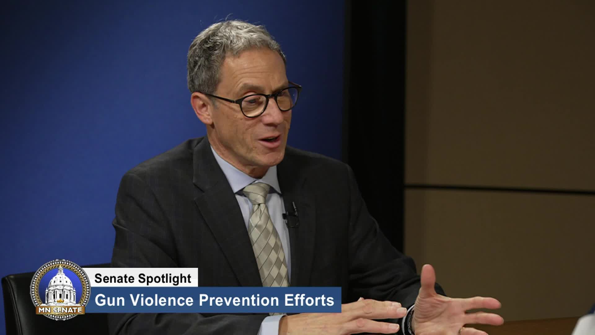 Thumbnail image for Senate Spotlight Episode 204: Gun Violence Prevention, Data Center Debate
