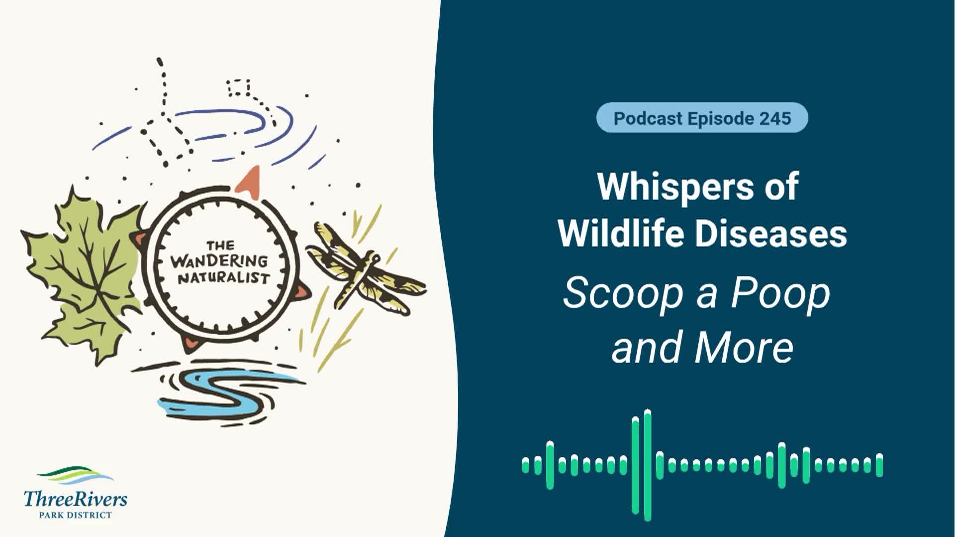 Thumbnail image for The Wandering Naturalist - Episode 245: Whispers of Wildlife Diseases - Scoop a Poop and More
