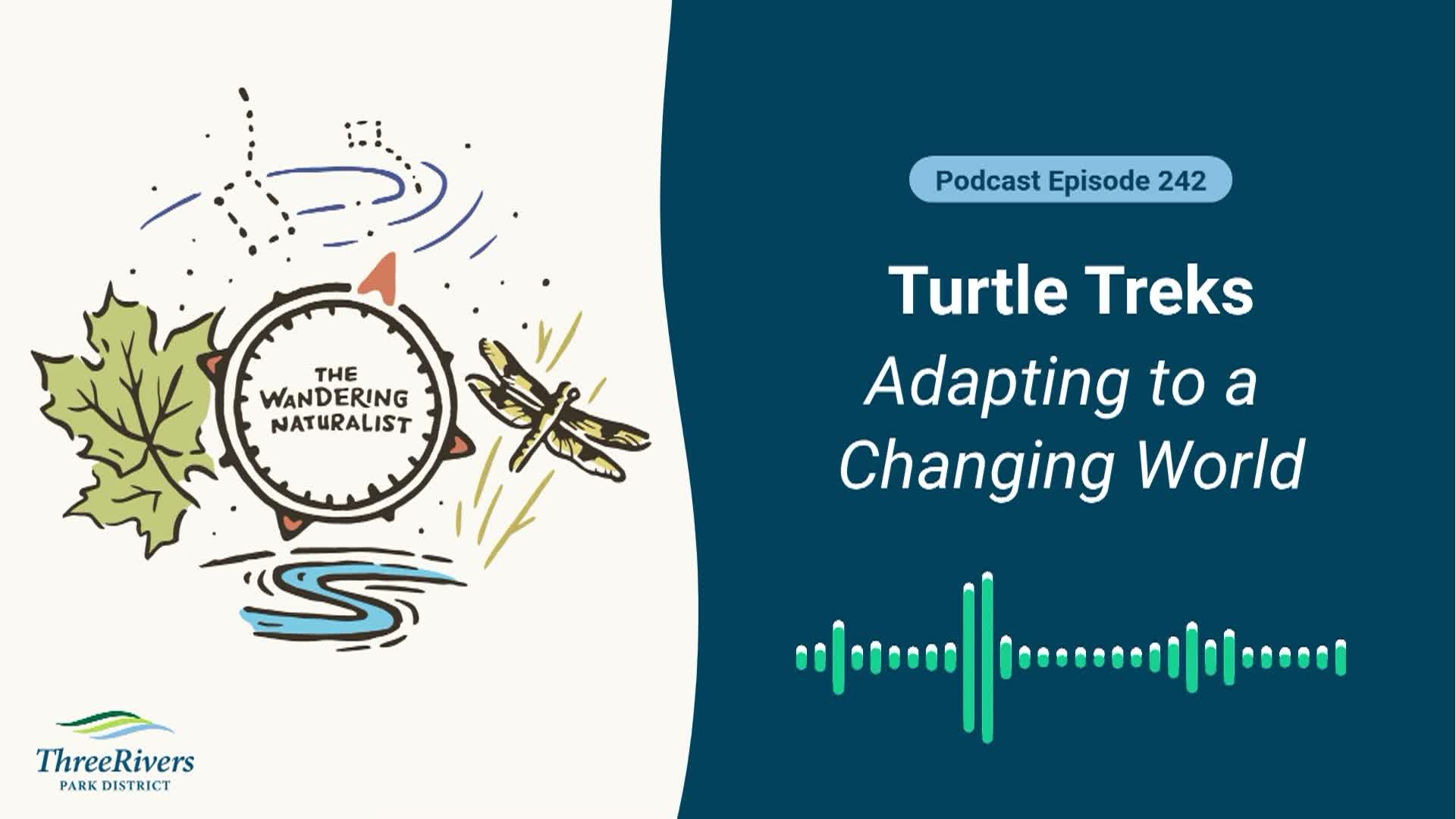 Thumbnail image for The Wandering Naturalist - Episode 242: Turtle Treks - Adapting to a Changing World