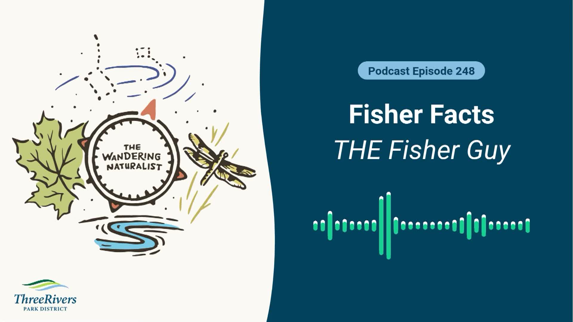 Thumbnail image for The Wandering Naturalist - Episode 248: Fisher Facts - The Fisher Guy
