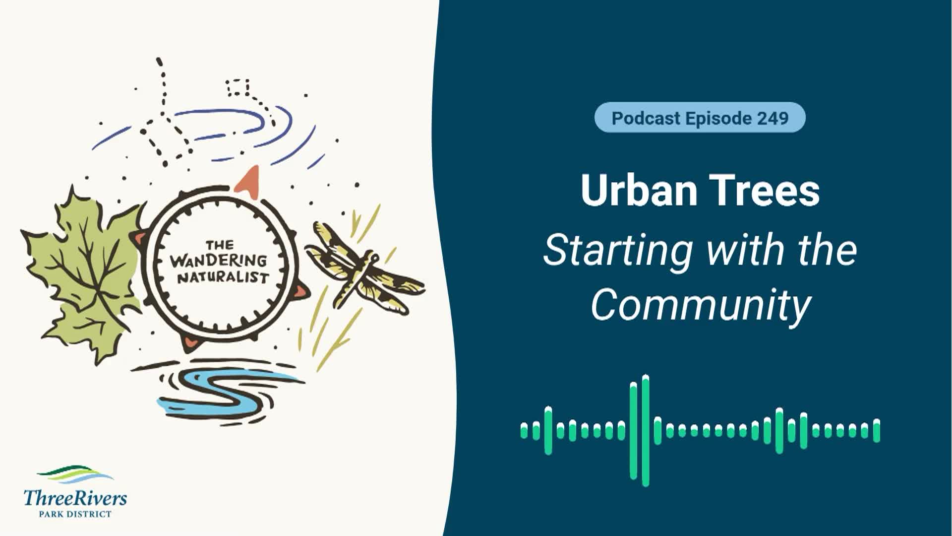 Thumbnail image for The Wandering Naturalist - Episode 249: Urban Trees - Starting with the Community