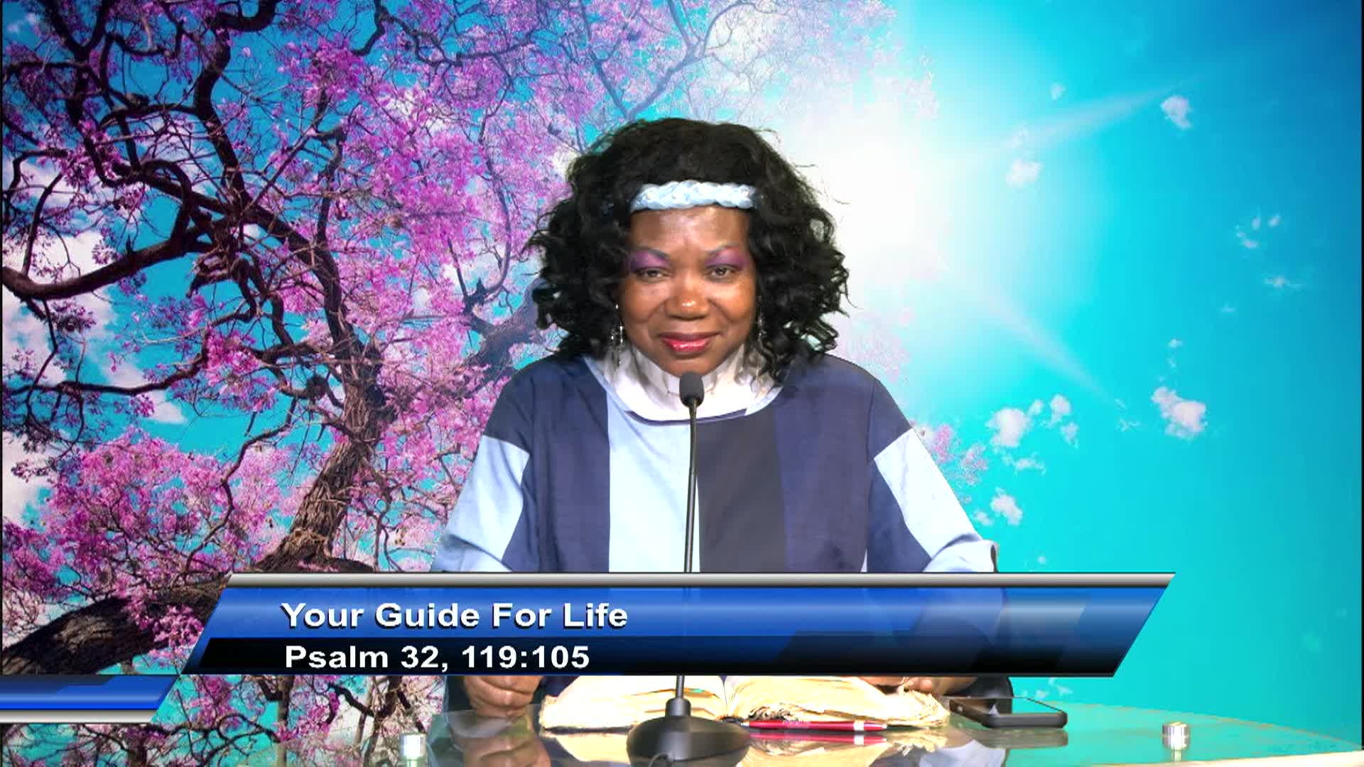 Thumbnail image for Celebrate Life Int'l Ministry: Your Guide for Life