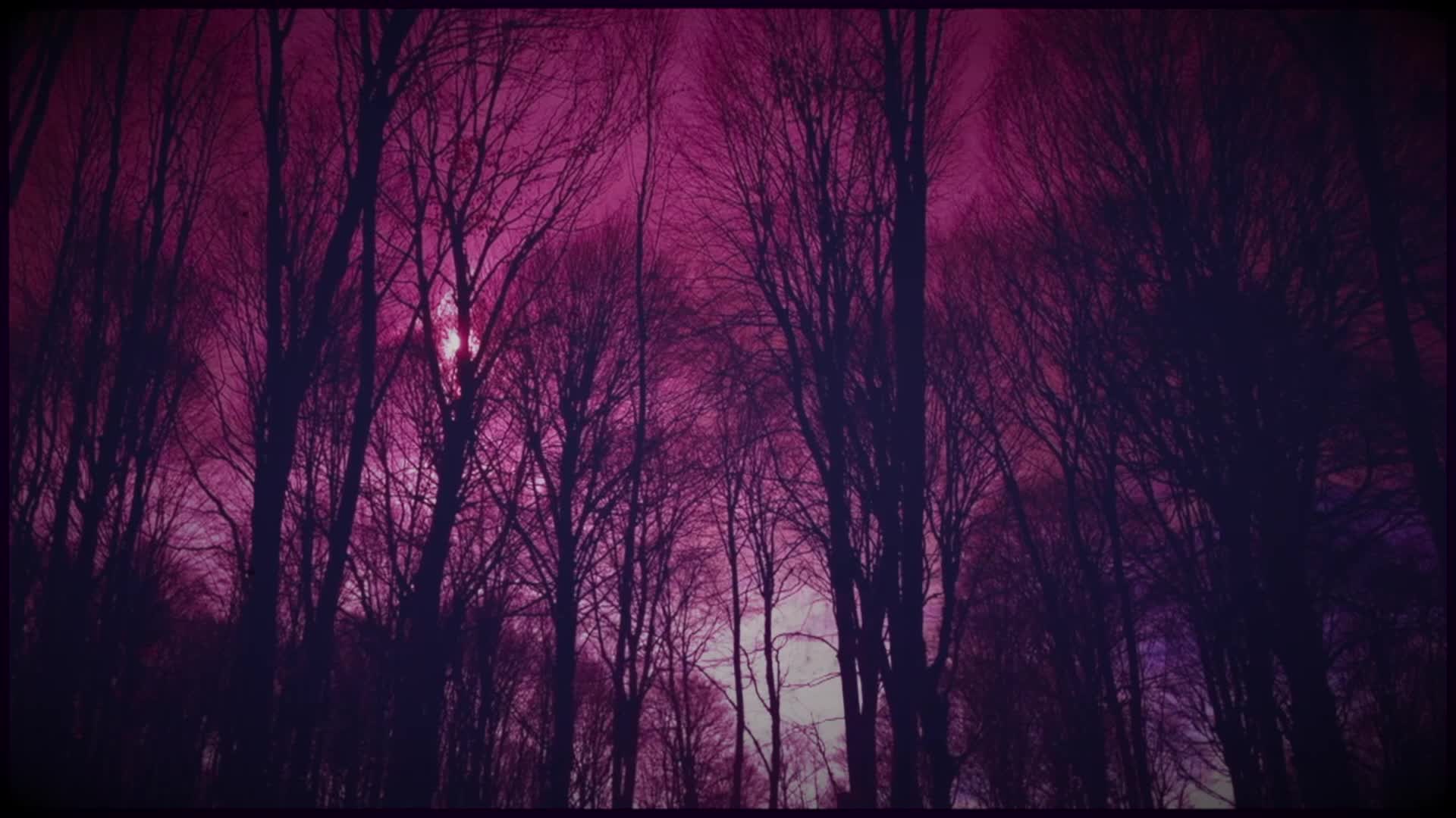Thumbnail image for Wax Noir - Dream of Night