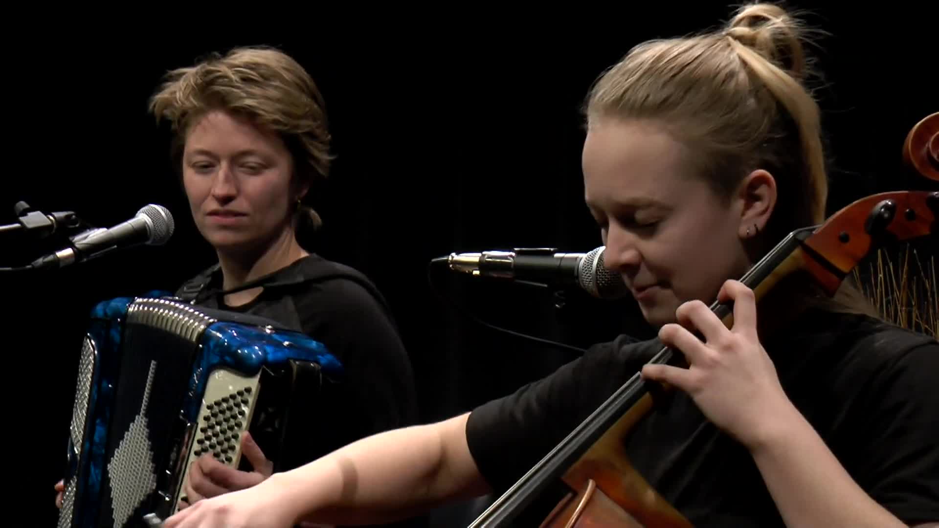 Baby Blue Arts Presents: Too Old Cat